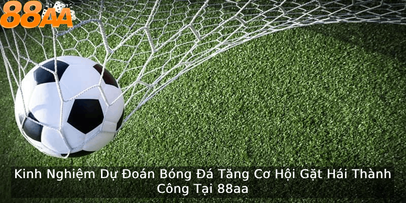 Tại sao mọi người lại thường thua?
