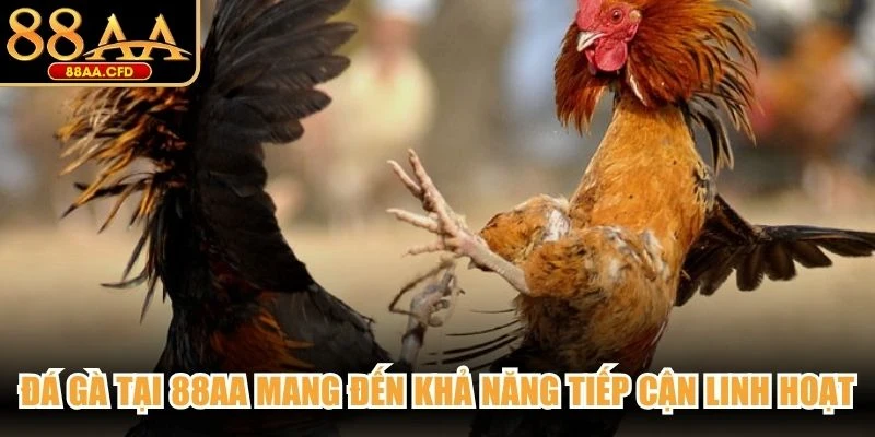 Chuyên mục đá gà tại 88AA mang đến khả năng tiếp cận linh hoạt